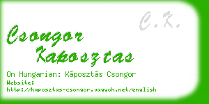 csongor kaposztas business card