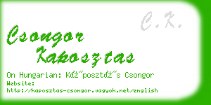 csongor kaposztas business card